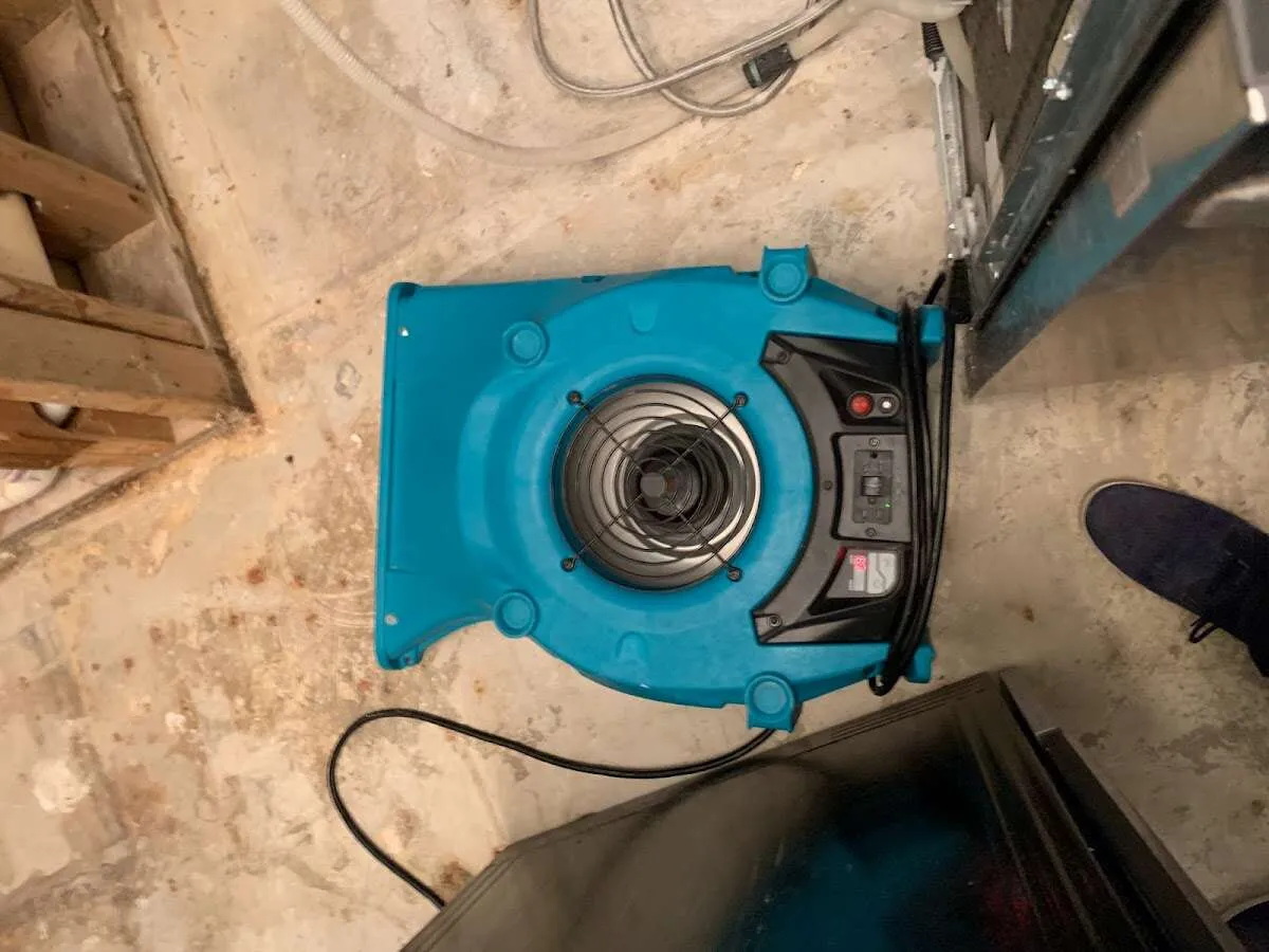 Air mover drying equipment for Mold Remediation & Removal in St. John